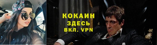 твердый Абаза