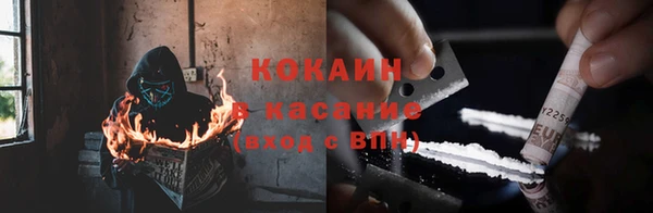 твердый Абаза