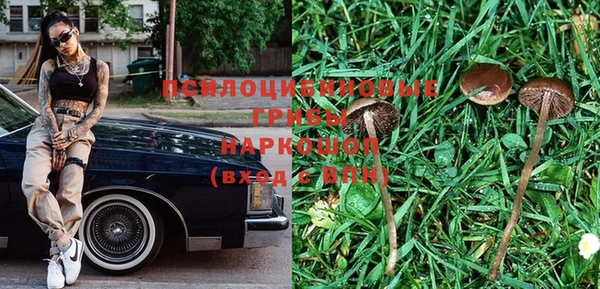 твердый Абаза