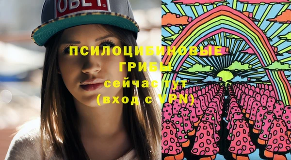твердый Абаза