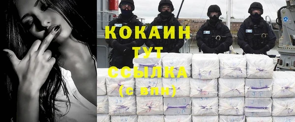 твердый Абаза